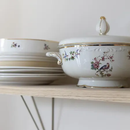 Magnolia Tree * Bergen