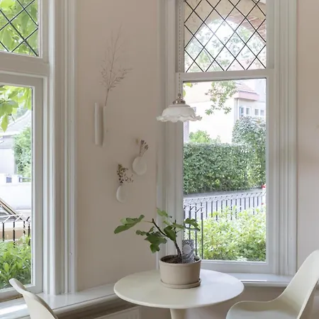 Magnolia Tree Bergen