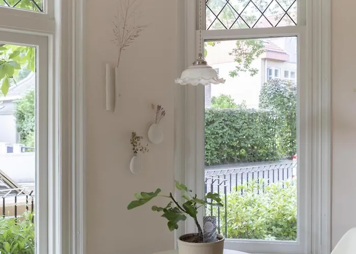 Magnolia Tree Bergen